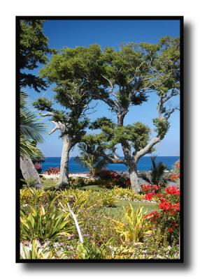 Whitegrass-Resort-Grounds.jpg