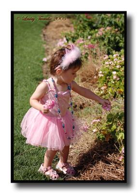 Niece1-281205.jpg