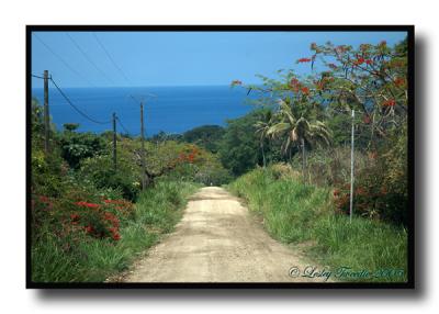 Tannas-mainroad.jpg