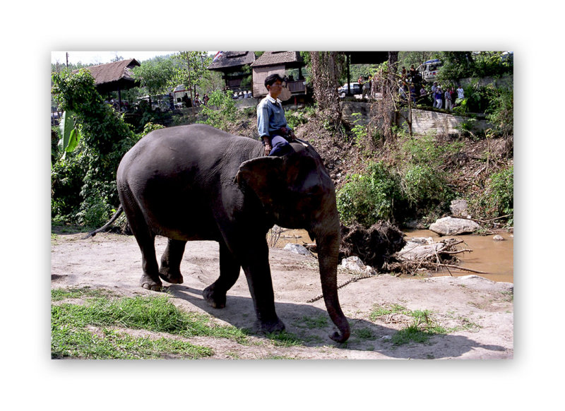 Chiang Mai