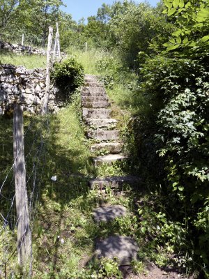 Escaliers entre Wildermeth et le ch. du Berghaus