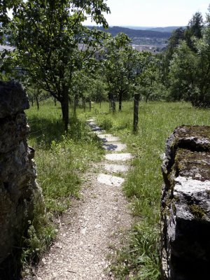 Escaliers entre Wildermeth et le ch. du Berghaus