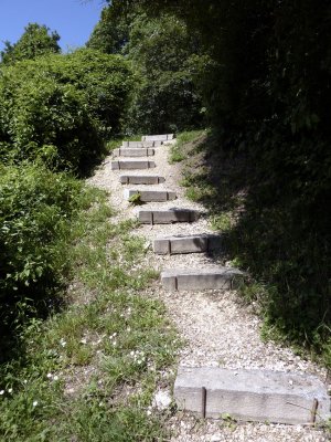Escaliers entre Wildermeth et le ch. du Berghaus