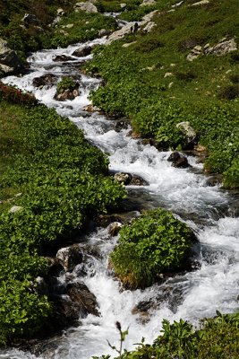 En aval du lac Jovet