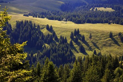 Vue des crtes de Seytroux