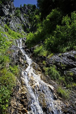 Vers le glacier du Trient