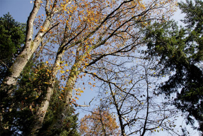 rencontres à la cime