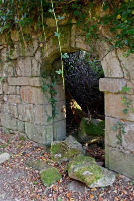 Vestiges de l'abbaye de Grandmont