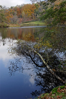 Etang de l'âne