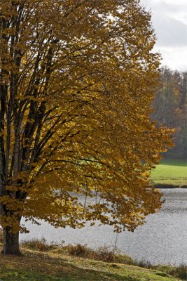 Autumnal story in Limousin (five)