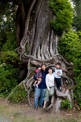 Family By The Old Tree