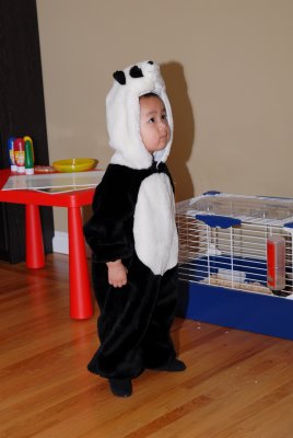 JOE_0081.jpg