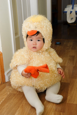 Little Chicken