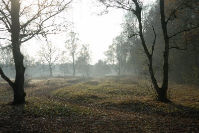 Hilversum Hoorneboegse Heide