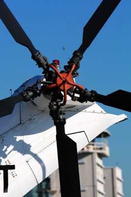 IMG_9993.JPG