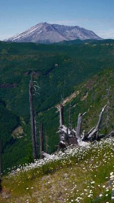 St. Helens Volcano, WA