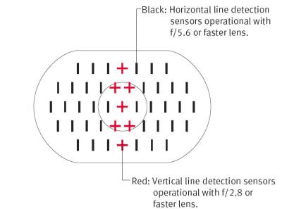 1D/1Ds Focus Sensors