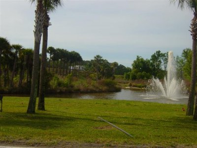 DSC01426 (Small).JPG