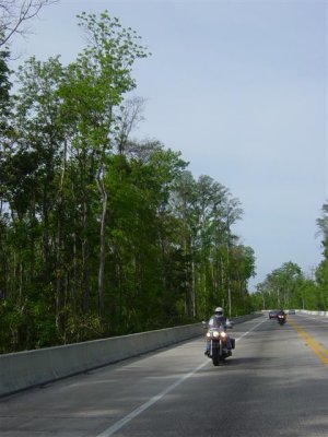 DSC01429 (Small).JPG