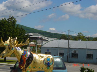 DSC00131.JPG