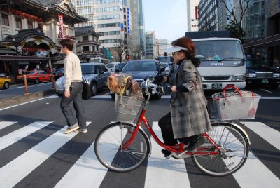 Ginza district cyclist with dog, Tokyo
