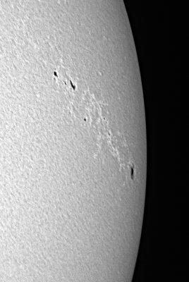 Sunspot group 1045, Feb. 12, 2010