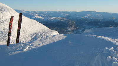 On the Lnahorgi top