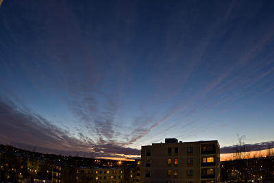 IMG_1234.jpg