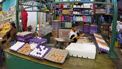 Morelia Marketplace Egg Boy