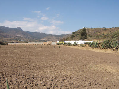 tlaxpueb06_0048.jpg