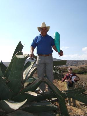 tlaxpueb06_0049.jpg