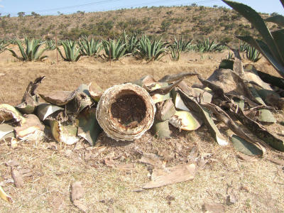 tlaxpueb06_0060.jpg