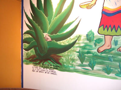 tlaxpueb06_0130.jpg