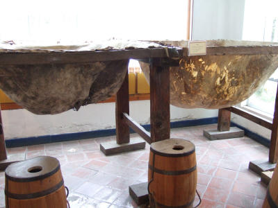 tlaxpueb06_0132.jpg