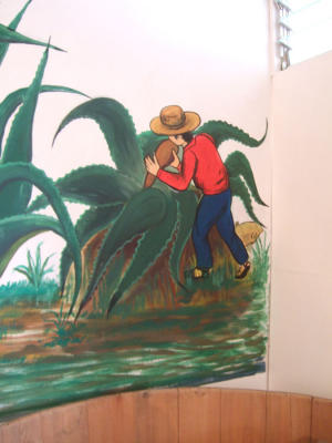tlaxpueb06_0134.jpg