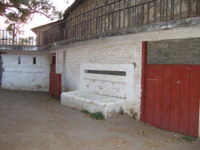 tlaxpueb06_0448.jpg
