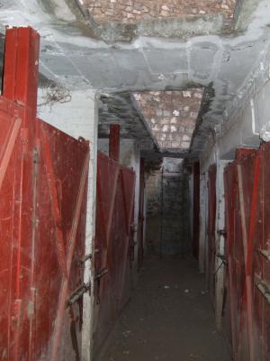 tlaxpueb06_0454.jpg