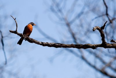 IMG_1387.jpg