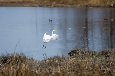IMG_1438.jpg
