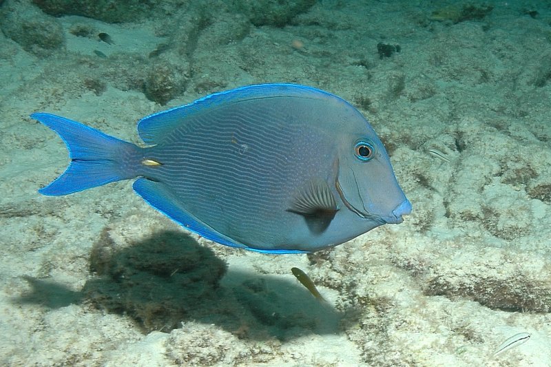 DSC_1514.JPG