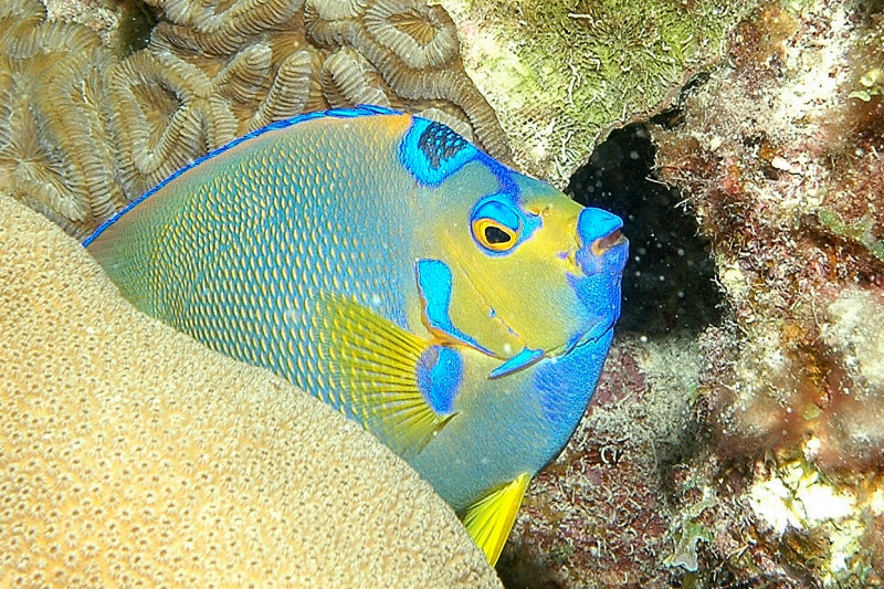 DSC_1655.JPG
