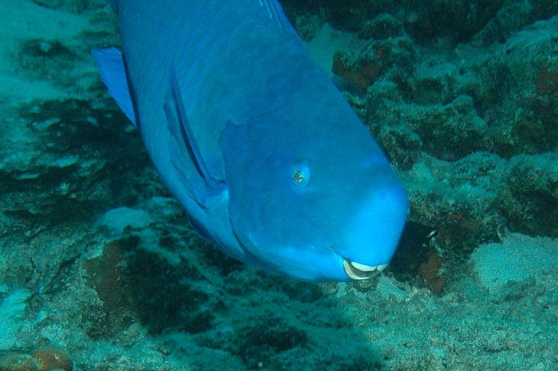 DSC_1723.JPG