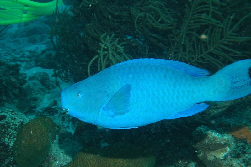 DSC_1724.JPG