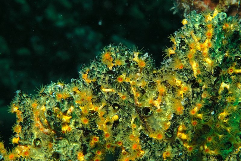 DSC_1745.JPG