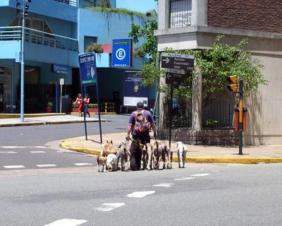 Buenos Aires