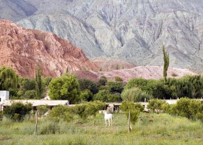Quebrada de Humahuaca