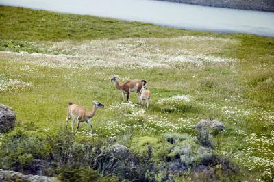 Torres Del Paine National Park