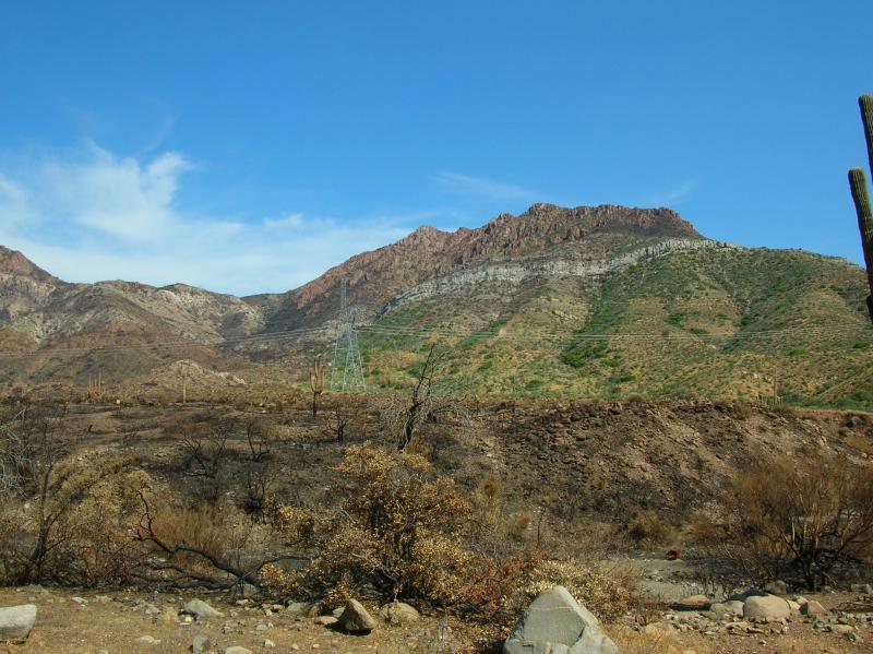 Desert land burned by the Peachville Fire