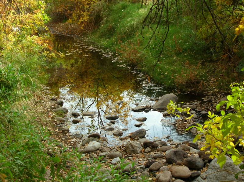 Fall color reflection in Queen Creek