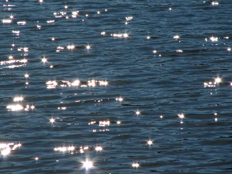 Sun sparkles on the water